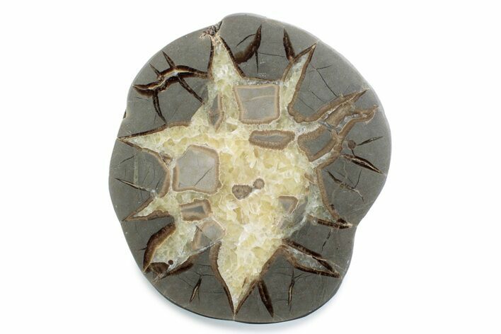 Polished Septarian Nodule Half - Utah #378434